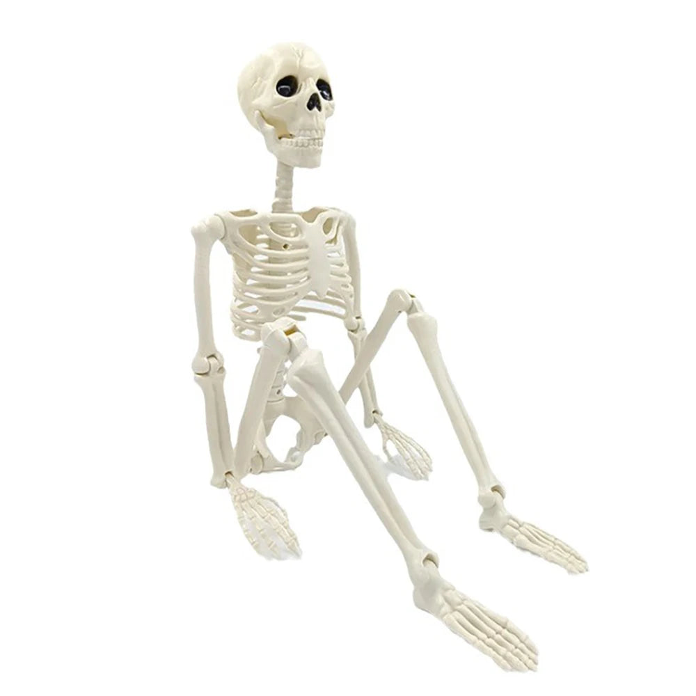 Halloween Poseable Skeleton – 40 cm