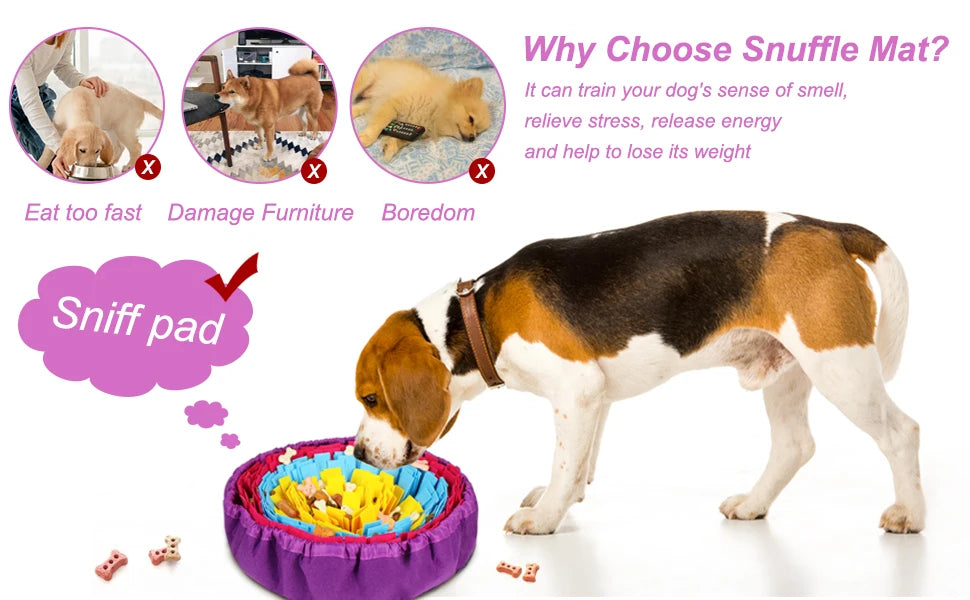 Pet Snuffle Mat – Interactive Feed Game