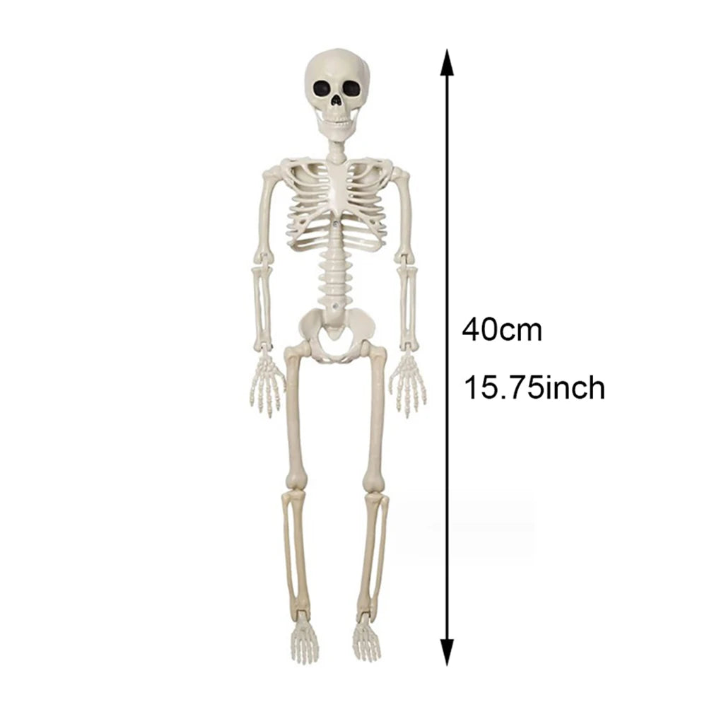 Halloween Poseable Skeleton – 40 cm