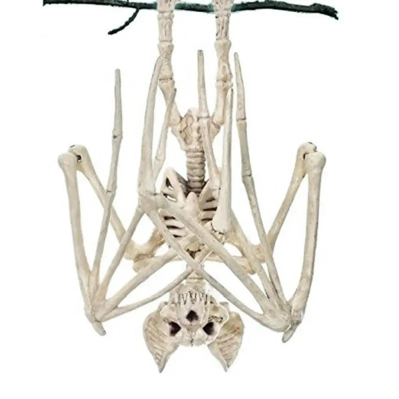Halloween Bat Skeleton Decoration