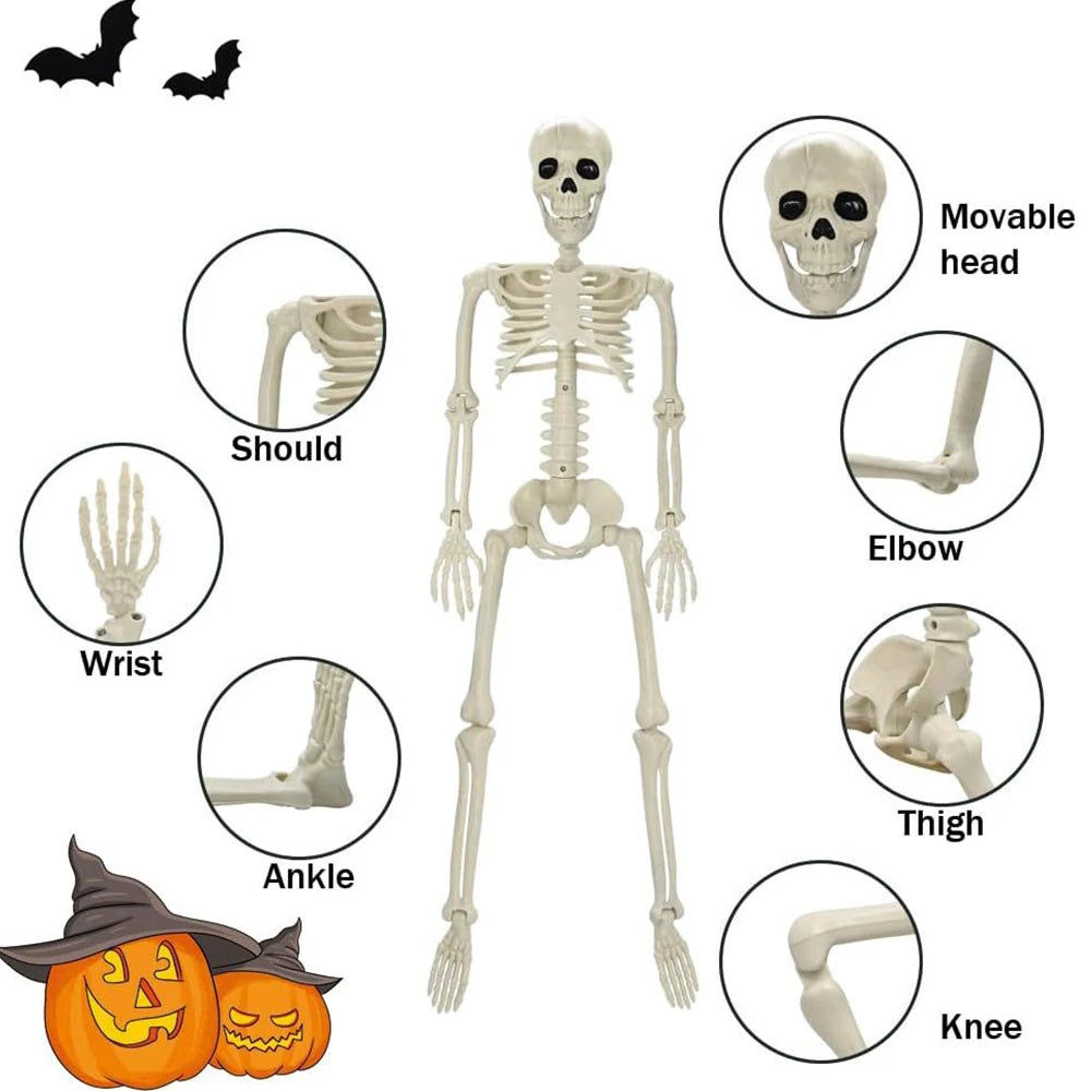Halloween Poseable Skeleton – 40 cm
